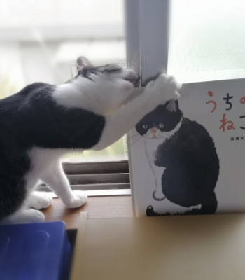 絵本と猫